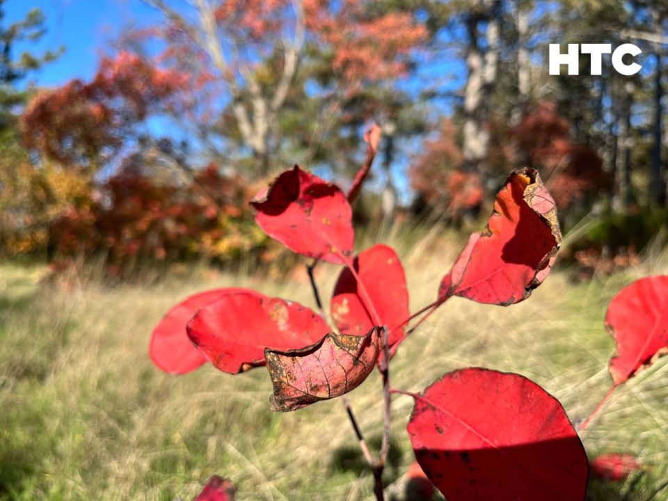 #нам_пишут. Вот такой красотой с нами поделились зрители Сапун-гора встречает теплом, светом и простором