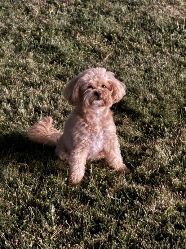 ������, ������� ����� �����!