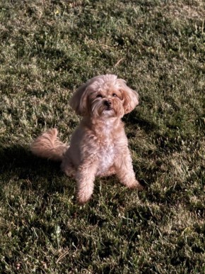 Друзья, поможем найти друга!