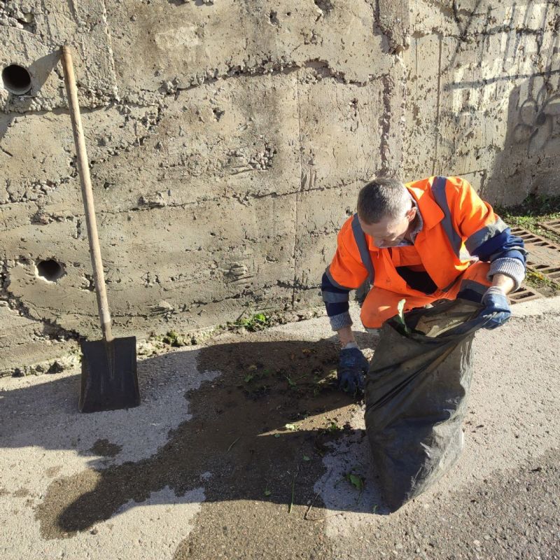 ���������: ������� �������. ������ �� ������� �������� ������ � ������� ���������������