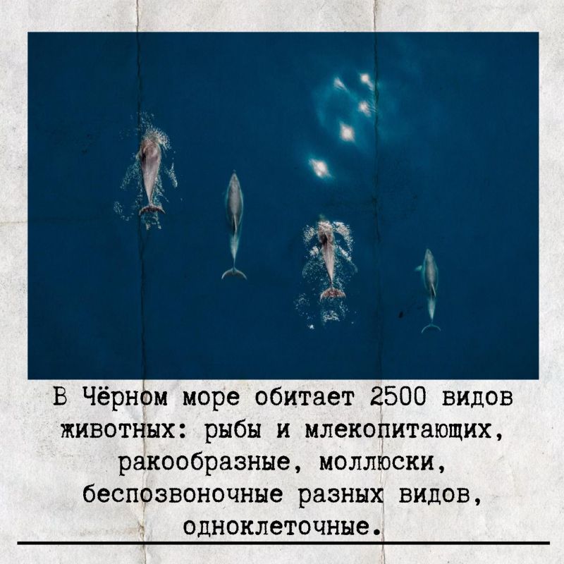 31 ������� ���������� ������������� ���� ׸����� ����