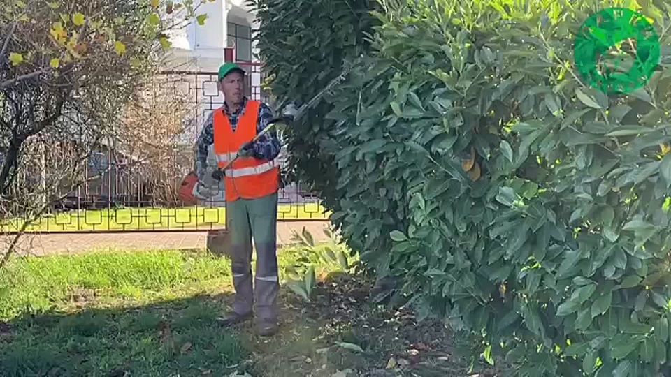 ����������� ������� ������ �� ����� �� ���������� � ������ ��� � ����� ������