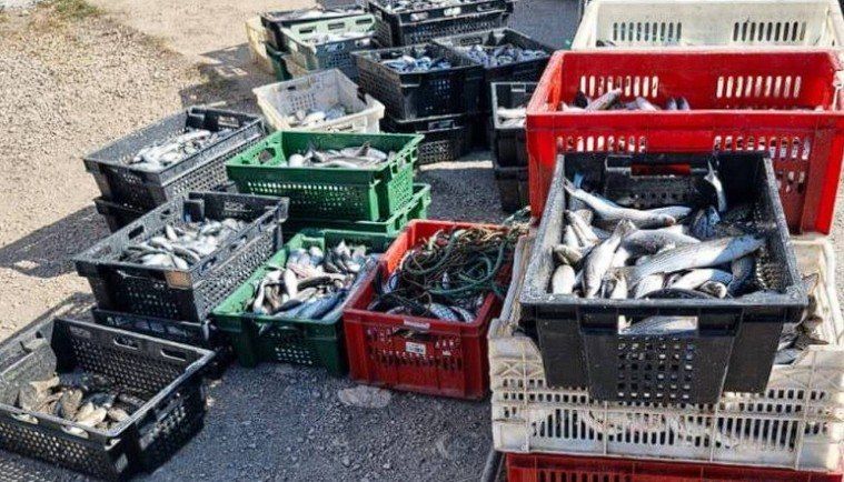 � ����������� ���������� ������� ���� � �������������