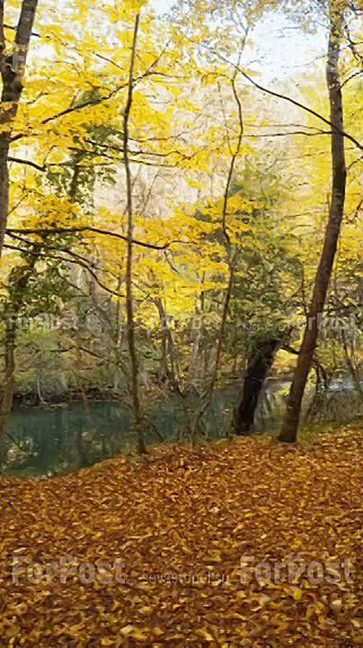 ����������� ������� ����� ����� �� ����� ��������� ��� ���������