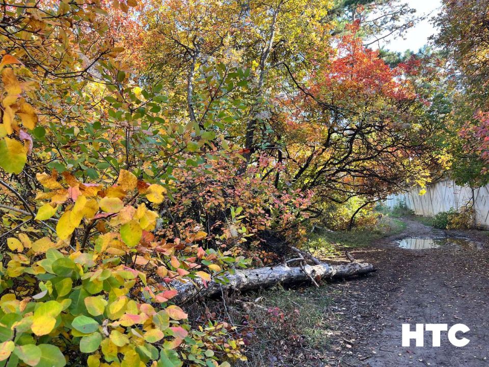 #���_�����. ��� ����� �������� � ���� ���������� ������� �����-���� ��������� ������, ������ � ���������