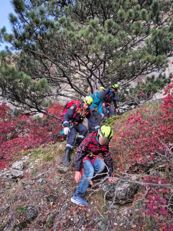 ������� � �������� �������� � ������ ����������