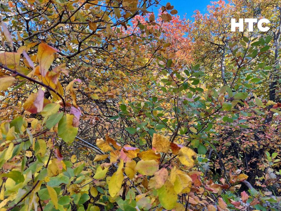 #���_�����. ��� ����� �������� � ���� ���������� ������� �����-���� ��������� ������, ������ � ���������