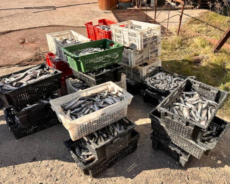 ����� �� 7 ���������: ������� �������������� ��������� �������� ������ � �������� �����������