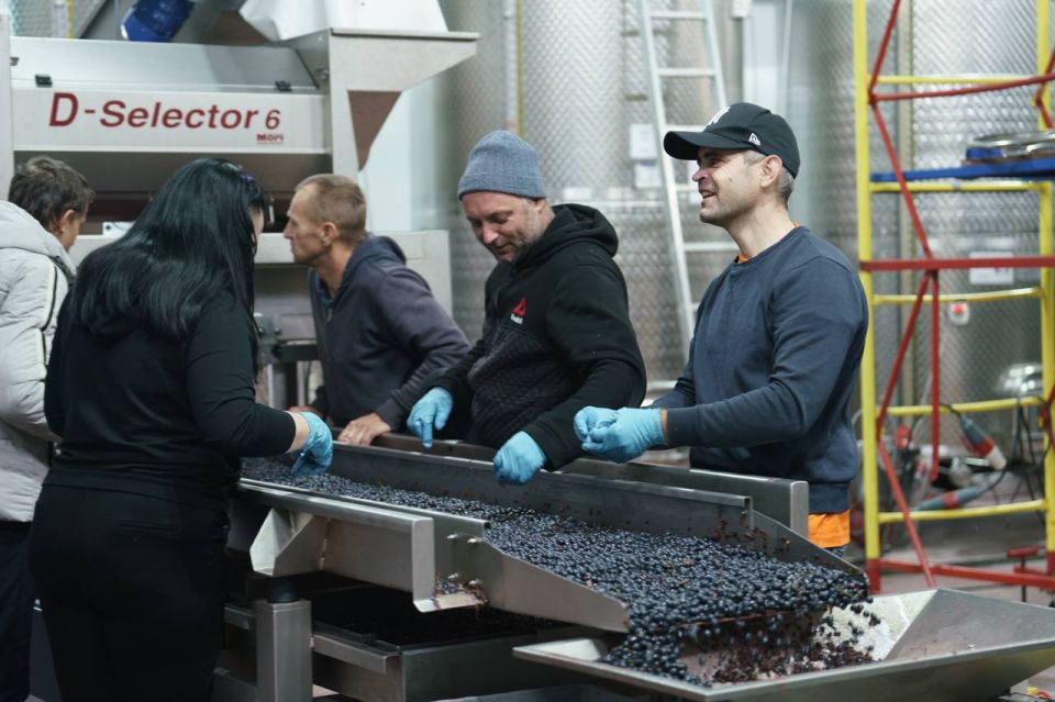 ���������� ������ ��������� ������� � ���������� ������ ����� ��������� 2025 ���� � �����������