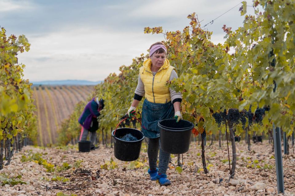 ���������� ������ ��������� ������� � ���������� ������ ����� ��������� 2025 ���� � �����������