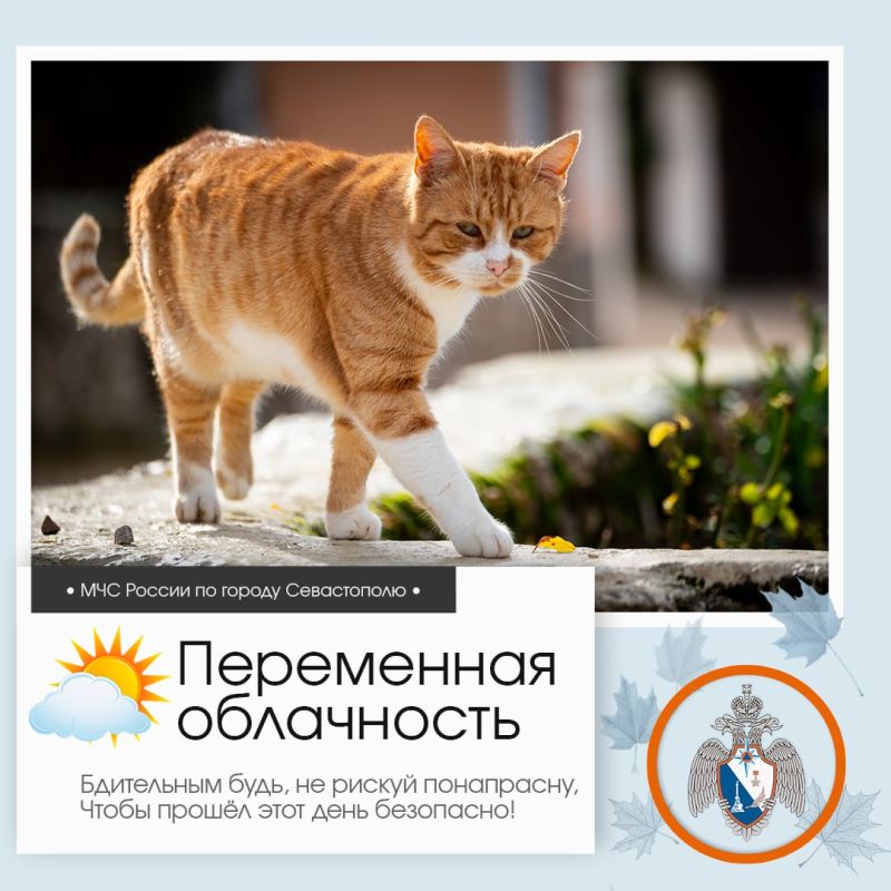 ������ ����, �����������!. �� ������ ��������������, 1 ������ � ����������� ����� ���������� ����������