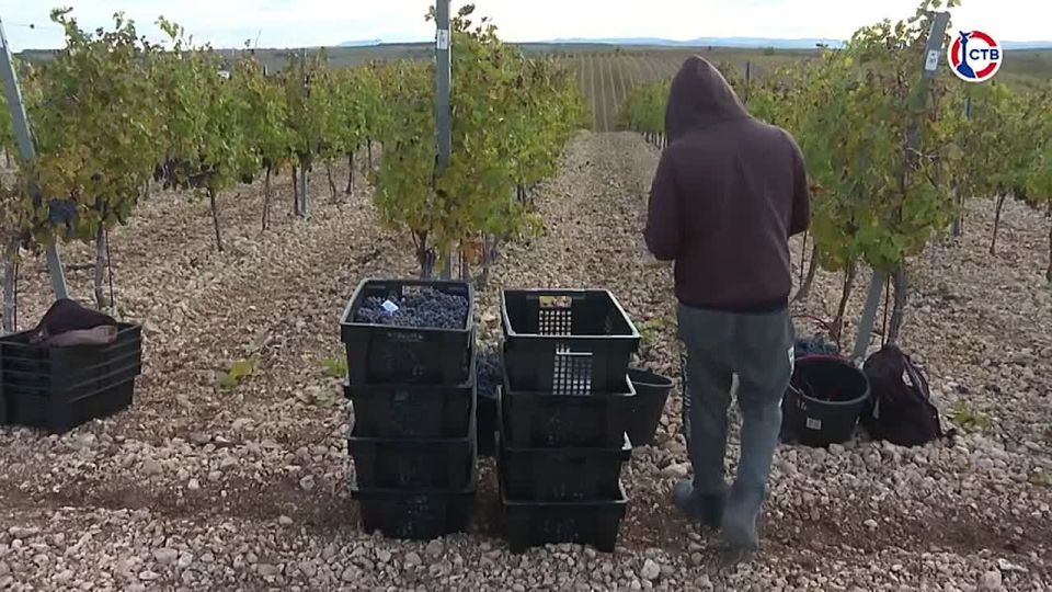 � ����������� �� ����� ��������� ������� 21 ������ ���� ����