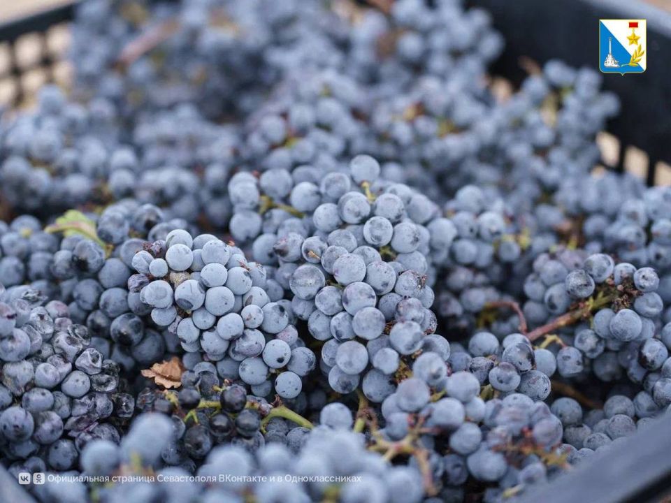 ����������� ����������� ������� �� ����� 21 ������ ����