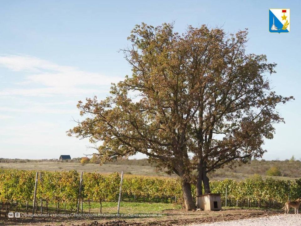 ����������� ����������� ������� �� ����� 21 ������ ����