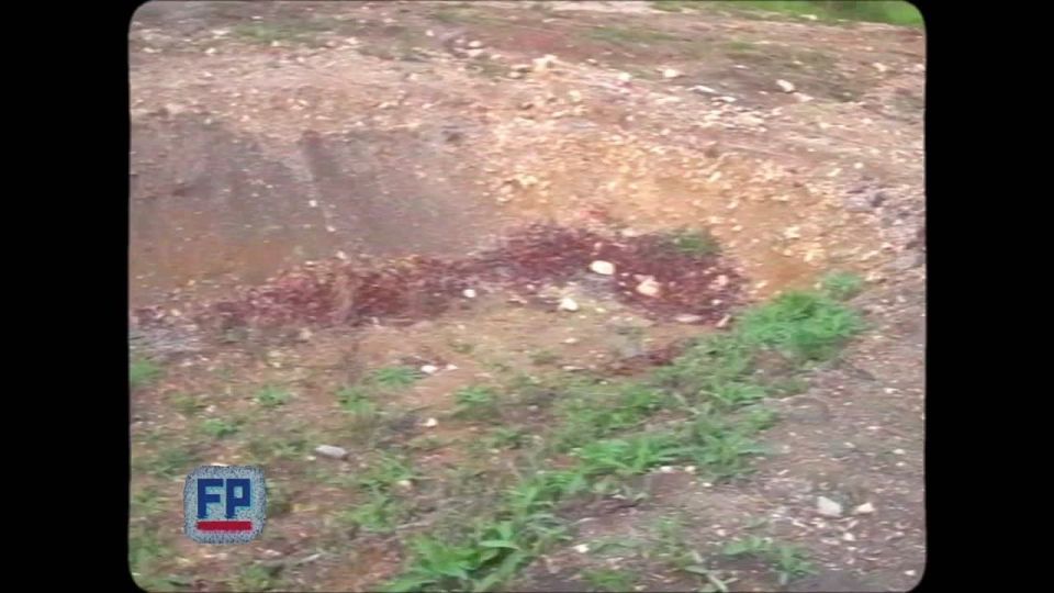 ����� ��������� ���� ������������ ������� �� ��������� ������� � ������