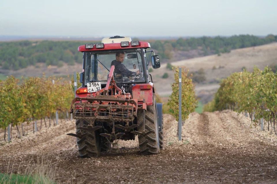 ���������� ������ ��������� ������� � ���������� ������ ����� ��������� 2025 ���� � �����������