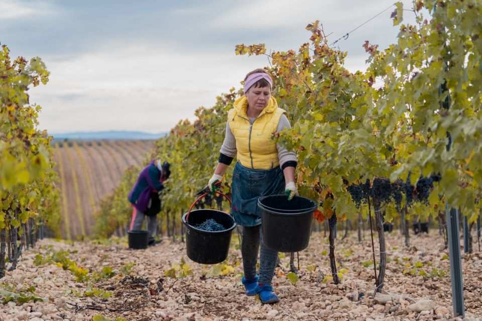 ������ ���������: � ����������� �������� ����� ����� ��������� 2025: ������� 21 ������ ���� ������