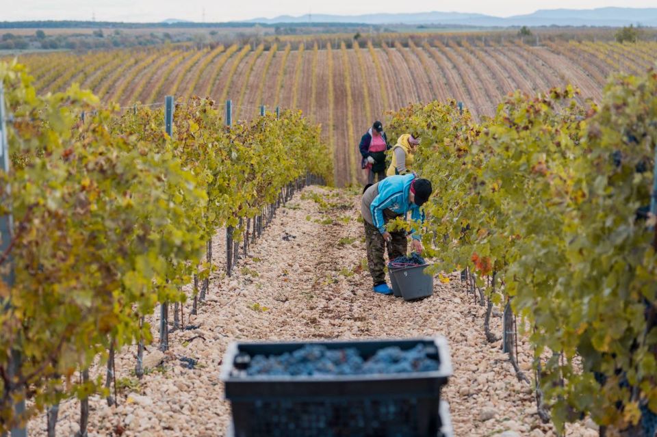 ������ ������ ���������: � ����������� ������� 21 ������ ���� ���������