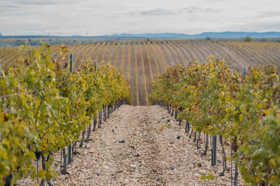 ���������� ������ ��������� ������� � ���������� ������ ����� ��������� 2025 ���� � �����������