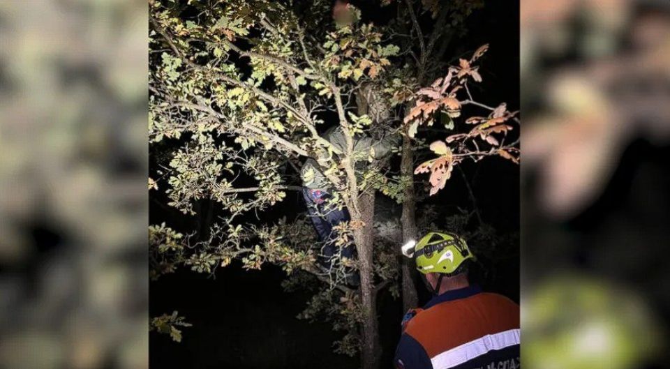 ������ ������� �� ������ ���� �������� ����������