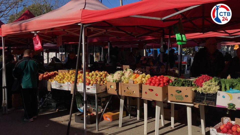 � ����������� ��������� ������������ ��������� �� ������� ��������� ���