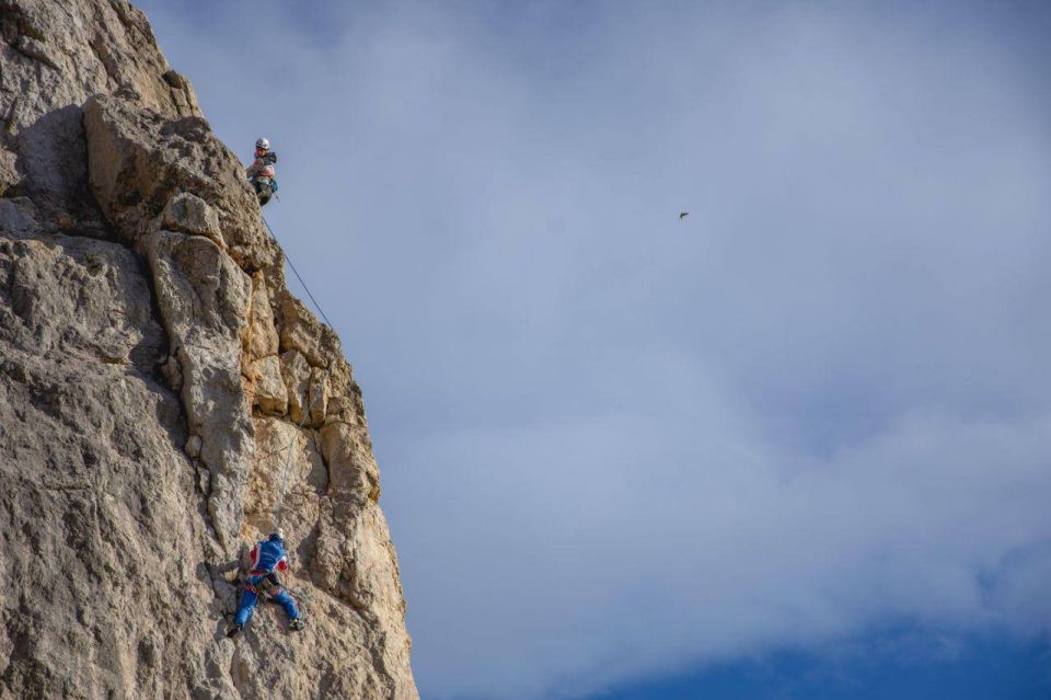 ������ ���������: ������ ������ ������ �� ���������� � ��� ���������!