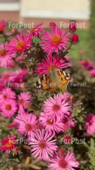 �������� ����� � �����������