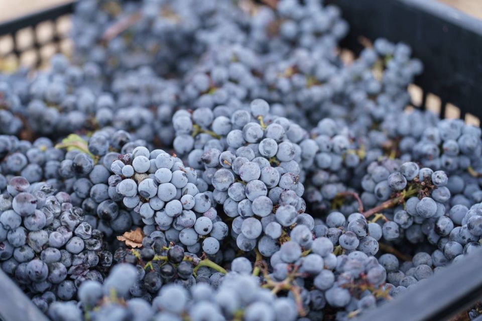 ���������� ������ ��������� ������� � ���������� ������ ����� ��������� 2025 ���� � �����������