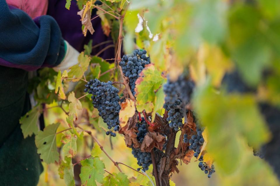 ���������� ������ ��������� ������� � ���������� ������ ����� ��������� 2025 ���� � �����������