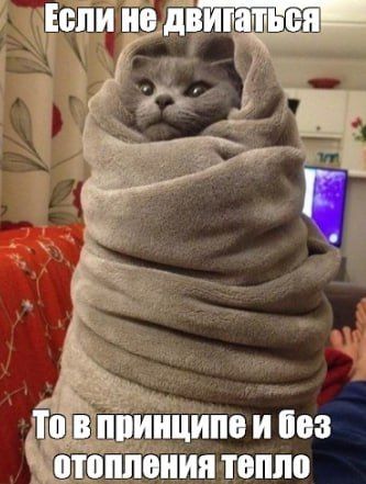 ����� 8,5 ������ �������������� ������������ �� ���������