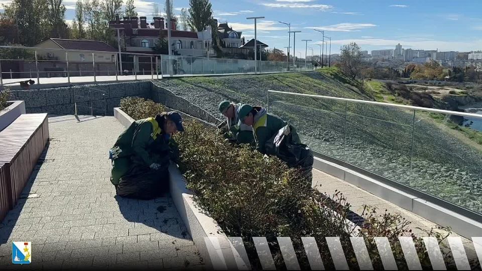 Ухаживаем за цветами. В сквере на территории Мемориального комплекса на улице Катерной обновили розарий