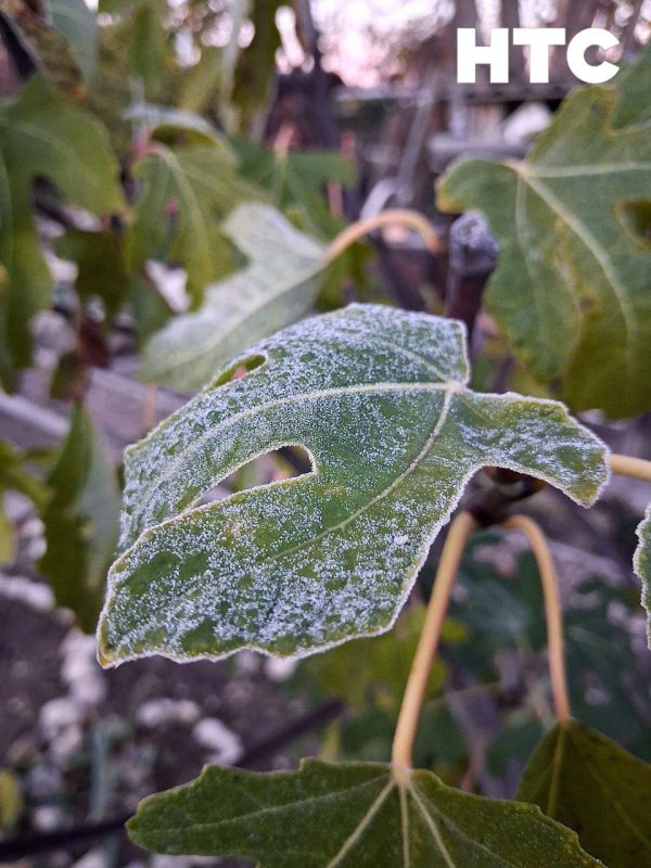 #���_�����. �������� ���������� �������� � ����������� �� ���� ������� ���������� � ���� �� ���������� ��� � ���