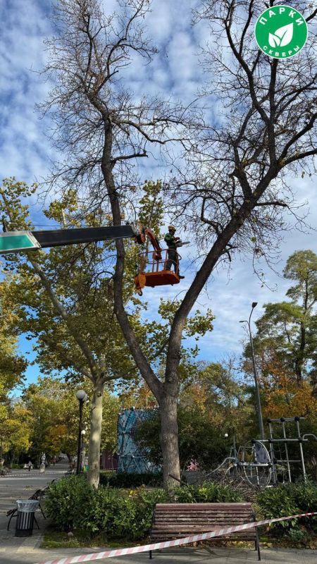 ������ � ������� ������� ����� � ������ ������