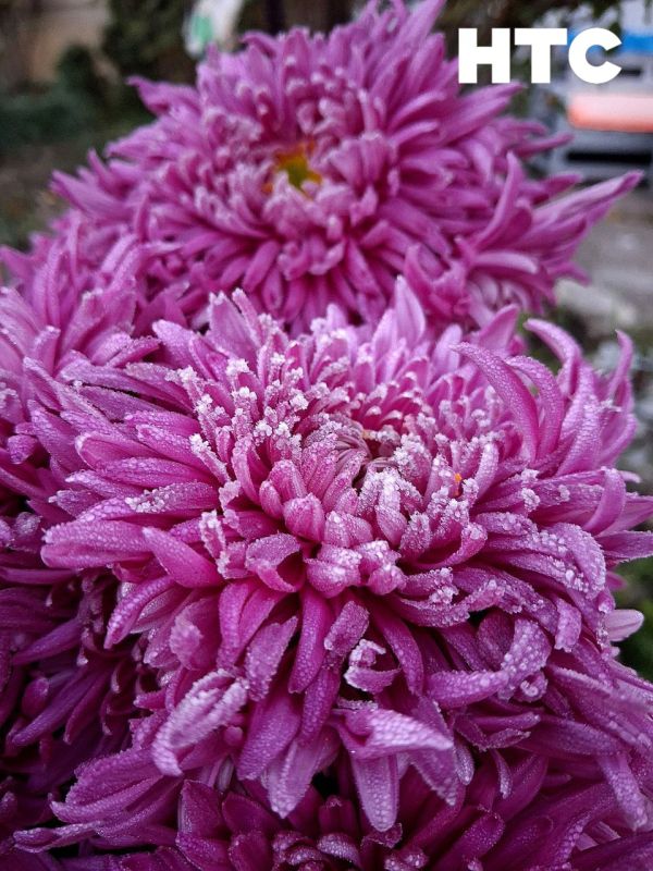 #���_�����. �������� ���������� �������� � ����������� �� ���� ������� ���������� � ���� �� ���������� ��� � ���