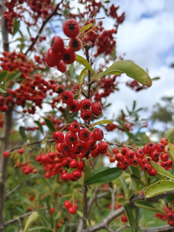 � ������ �����, ������!. � ����������� ��� �������