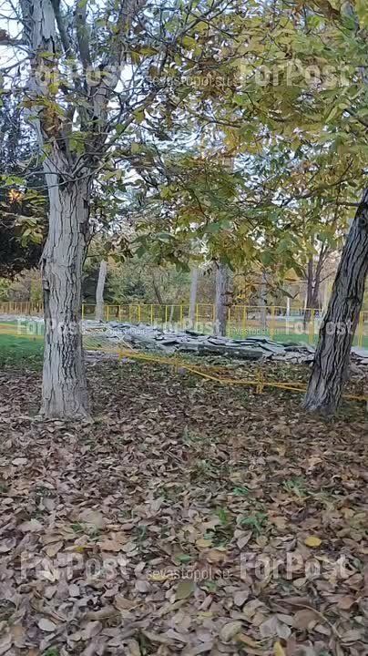 � ����� ����� ���� �������� � ����������� �������� ����������� �������������, � ������� �� ������������ ��� �����