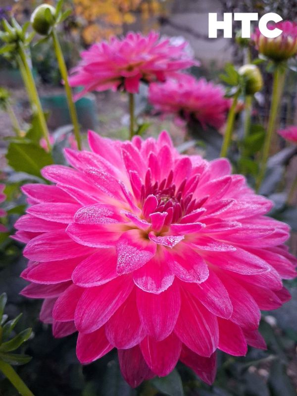 #���_�����. �������� ���������� �������� � ����������� �� ���� ������� ���������� � ���� �� ���������� ��� � ���