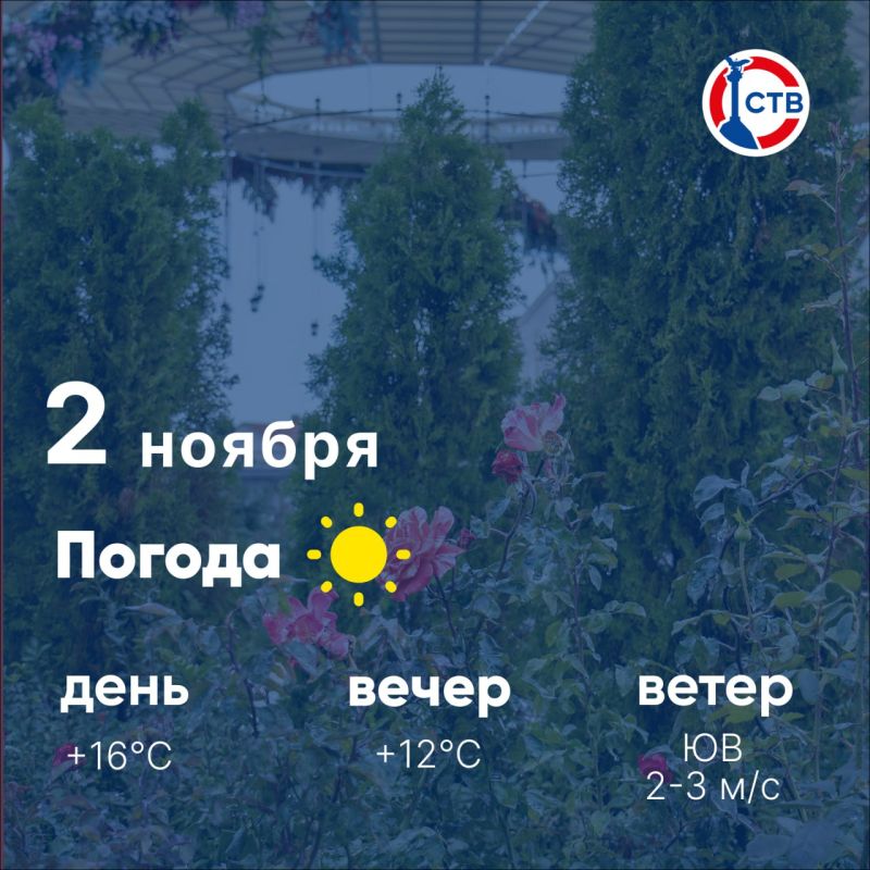 ������ ����, �������������! �������, 2 ������, � ������ ����