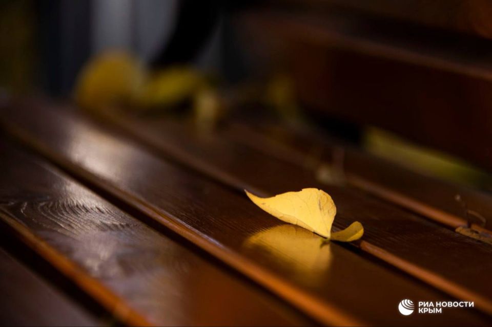 ������� ������ � ����� �� �����������