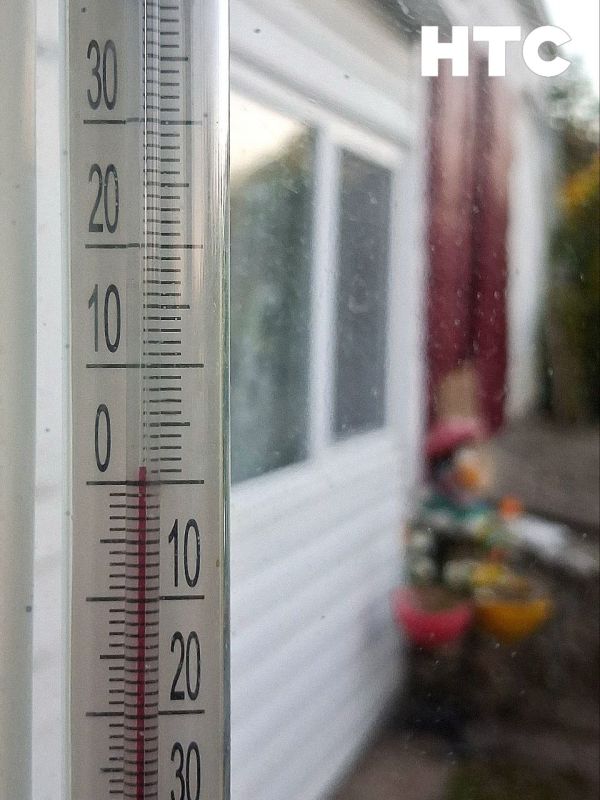 #нам_пишут. Морозным ноябрьским приветов и стеклянными от инея цветами поделились с нами из Фронтового НТС в МАХ