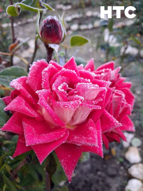 #���_�����. �������� ���������� �������� � ����������� �� ���� ������� ���������� � ���� �� ���������� ��� � ���