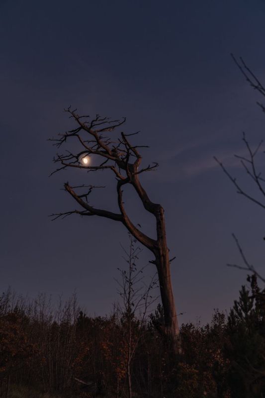 ���� ���������� �� ����� ������� ������ �� ������� �� ��������� ����� � ������� ��-���