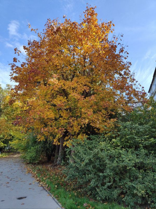 � ������ �����, ������!. � ����������� ��� �������