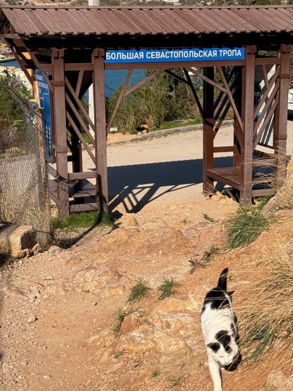 ������� �����: ����������� ��������� � ����� ����� ����! ���� ������� ��������