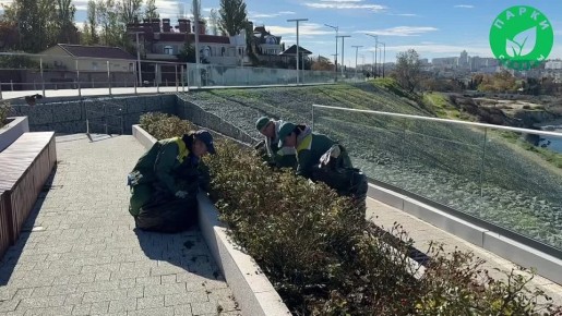 В сквере на набережной Примирения провели уход за розарием