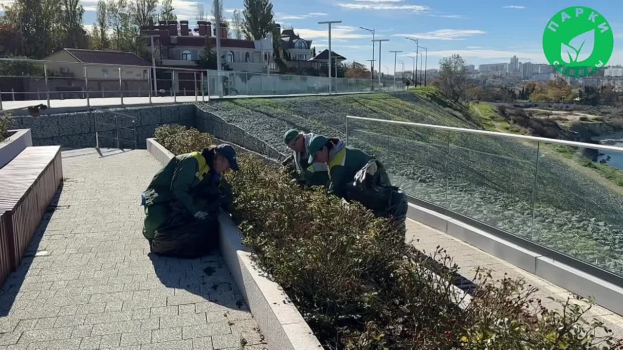 В сквере на набережной Примирения провели уход за розарием