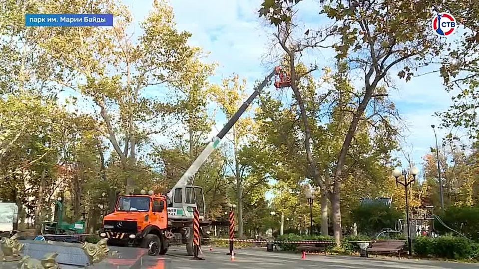 Специалисты обрезали сухие деревья в парке имени Марии Байды