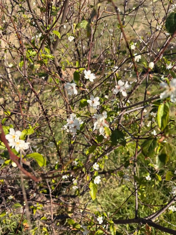 ������� �����: ����������� ��������� � ����� ����� ����! ���� ������� ��������