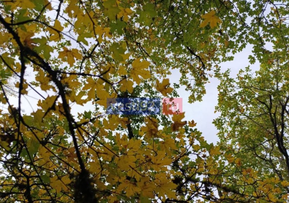 ������ ����, �����������!. ������� ���� ���� ����� ��������