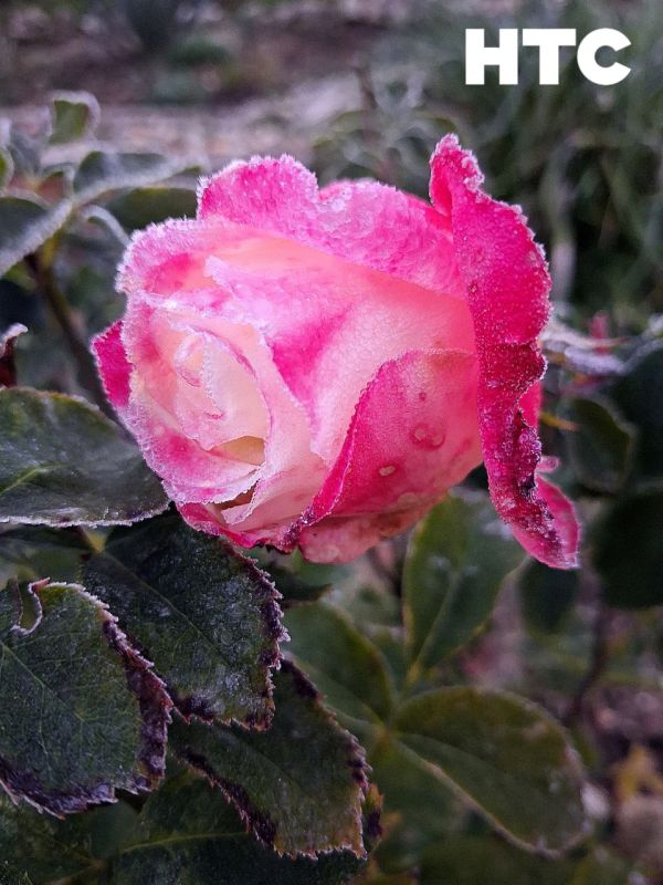 #���_�����. �������� ���������� �������� � ����������� �� ���� ������� ���������� � ���� �� ���������� ��� � ���